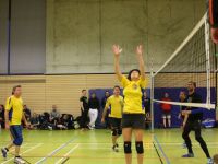 15. Panketaler Volleyballnacht 23.02.2019_37