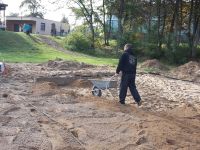 Beachvolleyballplatz Sanierung_30