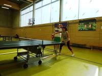 Tischtennismeisterschaft 2016_12