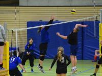 13. Volleyballnacht 04.03.2017_33